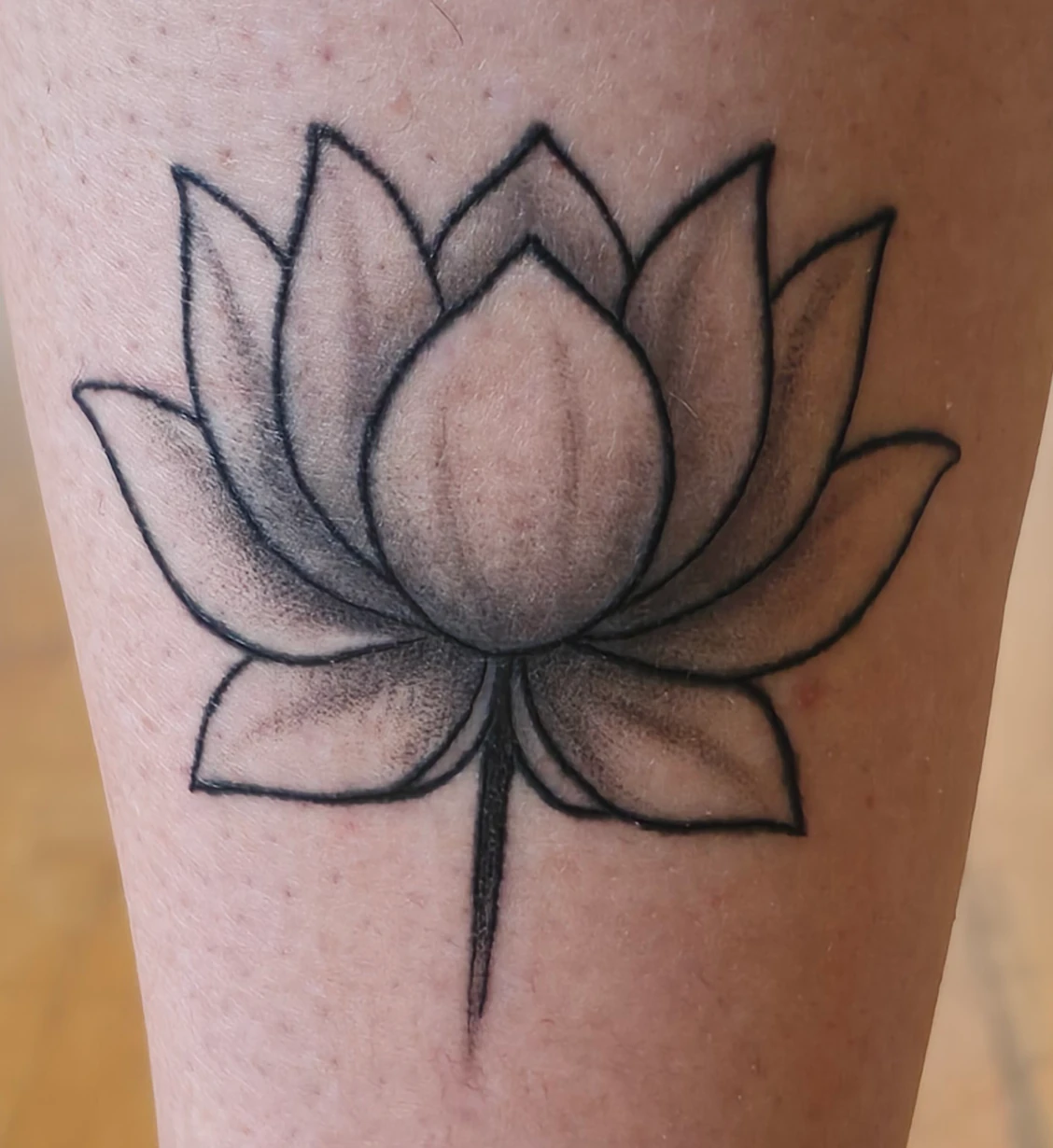 Lotus