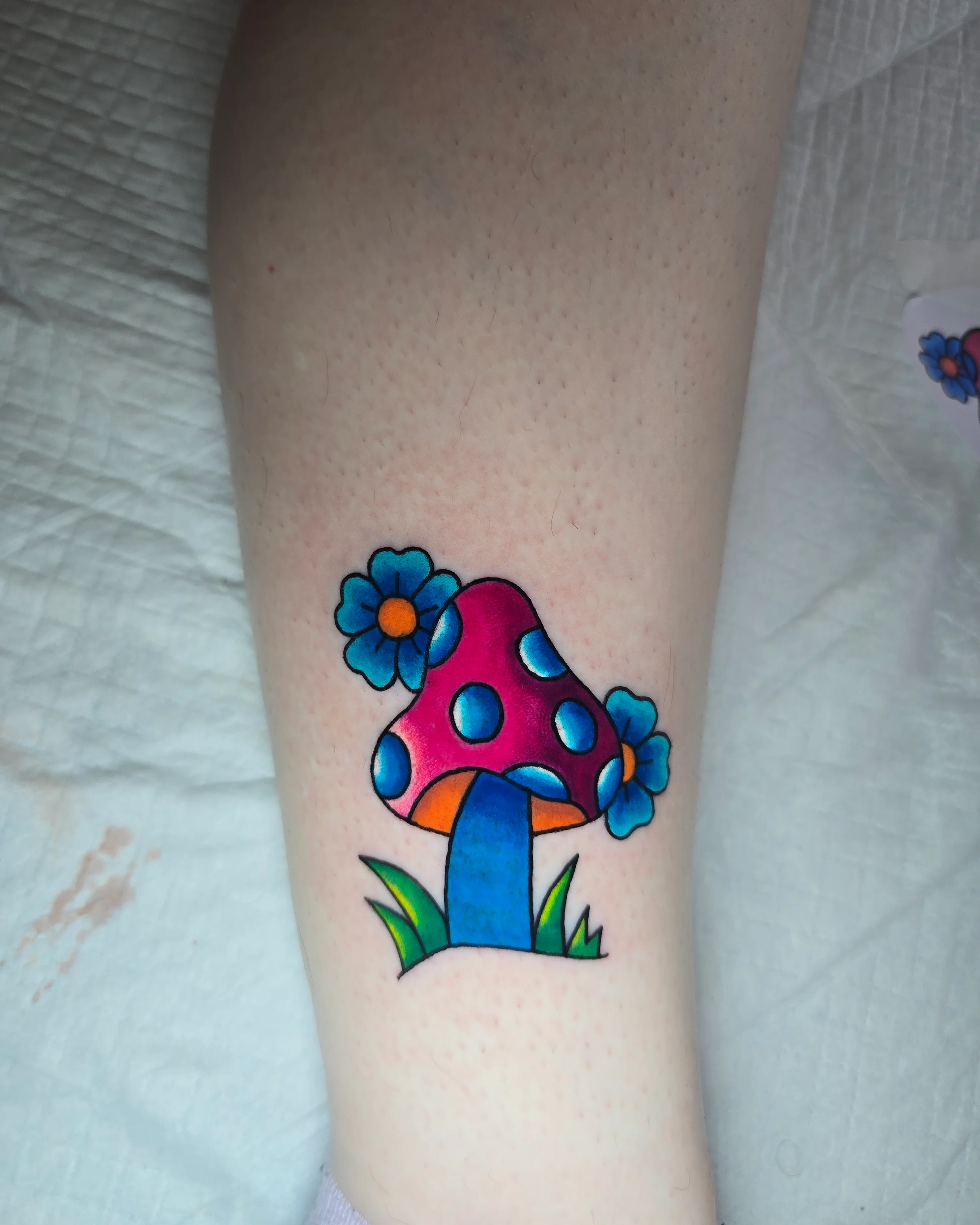 Mushroom