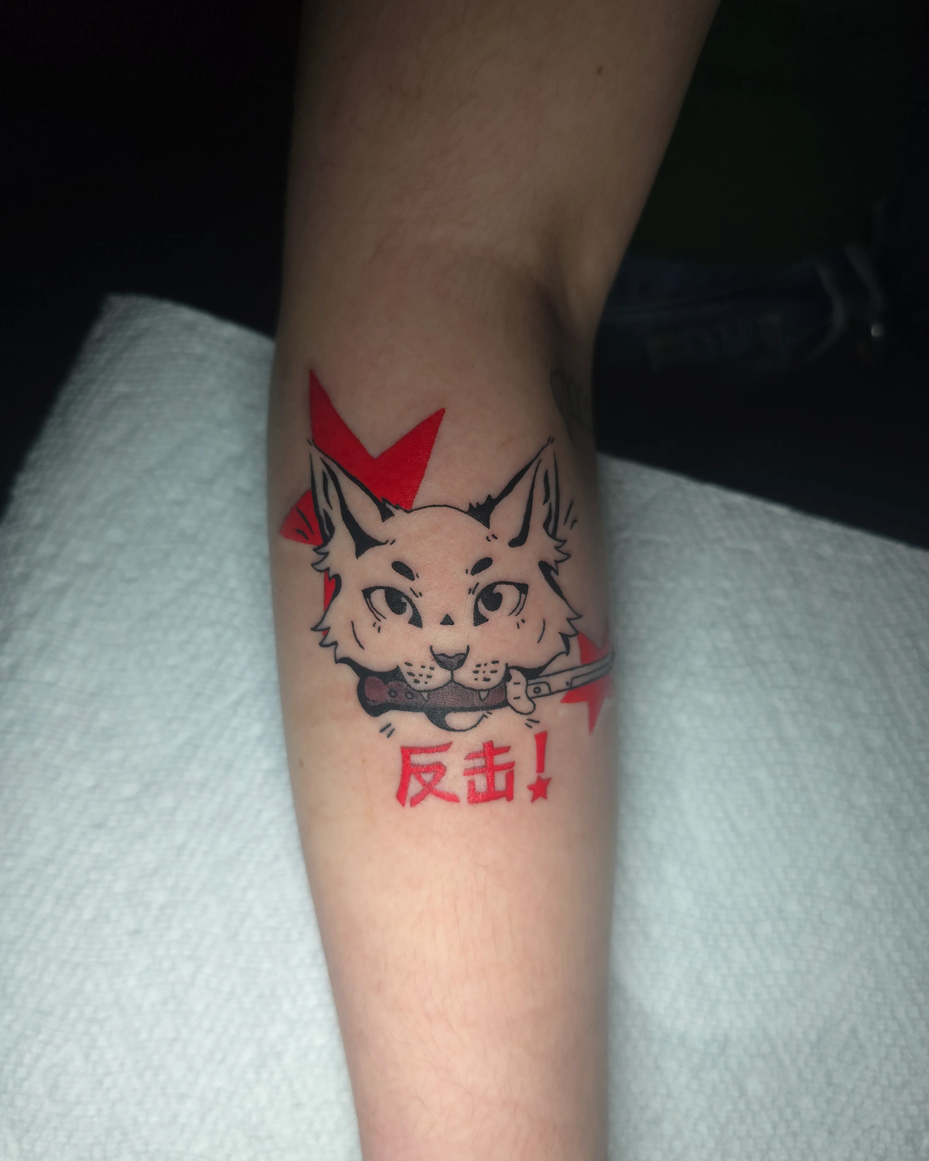 Neko Fighter